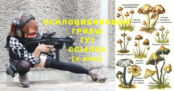 метамфетамин Елабуга