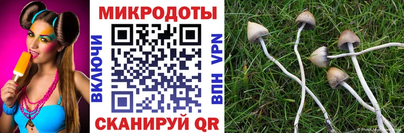 Купить закладки  Правдинск  Галлюциногенные грибы MAGIC MUSHROOMS 