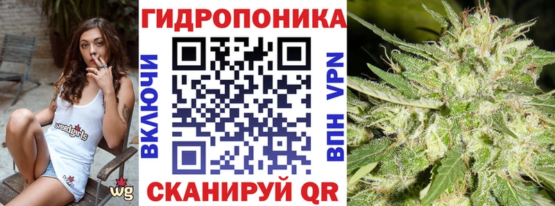Купить закладки  Правдинск  Бошки марихуана гибрид 